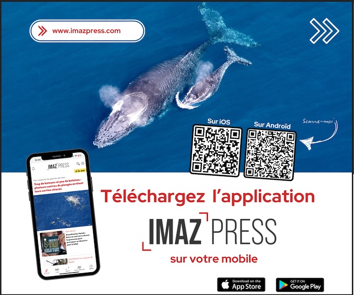 Télécharger l’appli