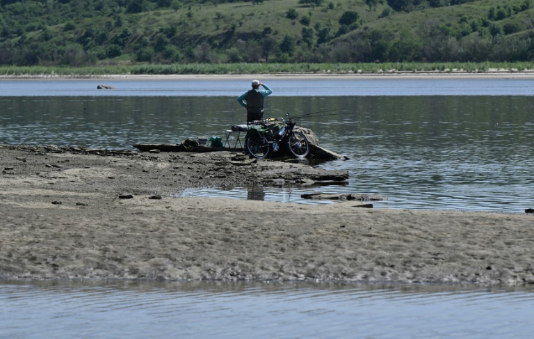 En Ukraine, l'étonnant réveil de la végétation après la destruction du