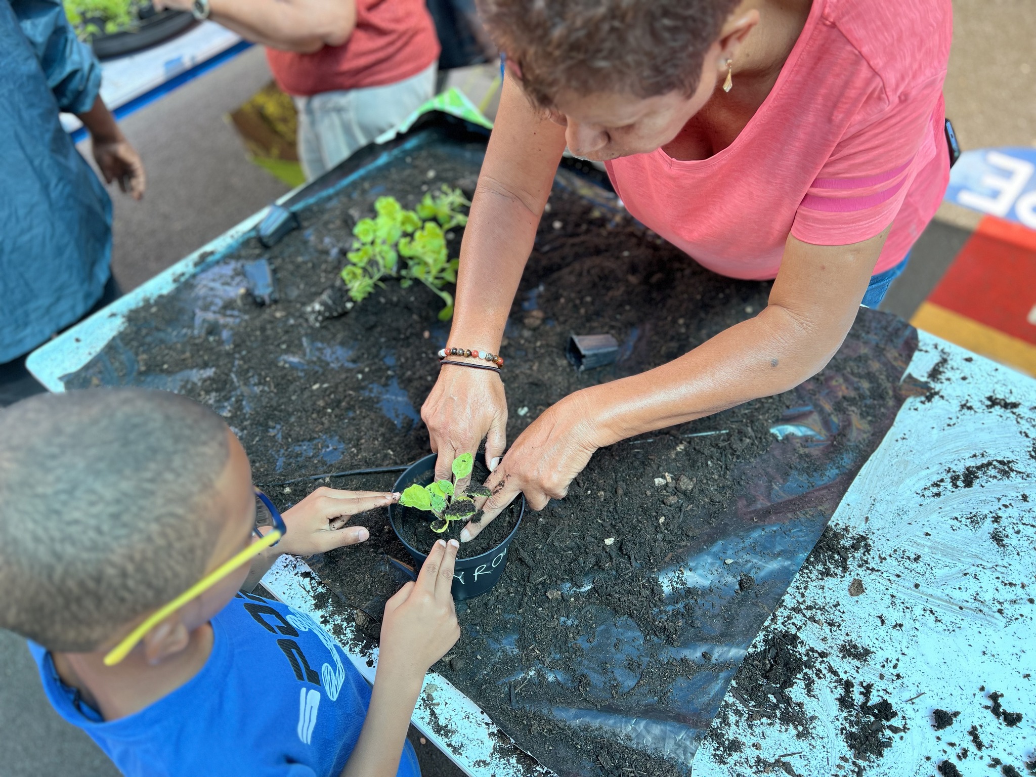 Saint-Denis : Activité De Jardinage Pour Les élèves De L'école Candide ...