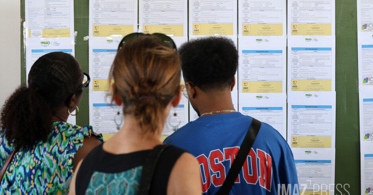 Loi plein emploi et RSA : un an après, une réforme plus progressive que punitive à La Réunion