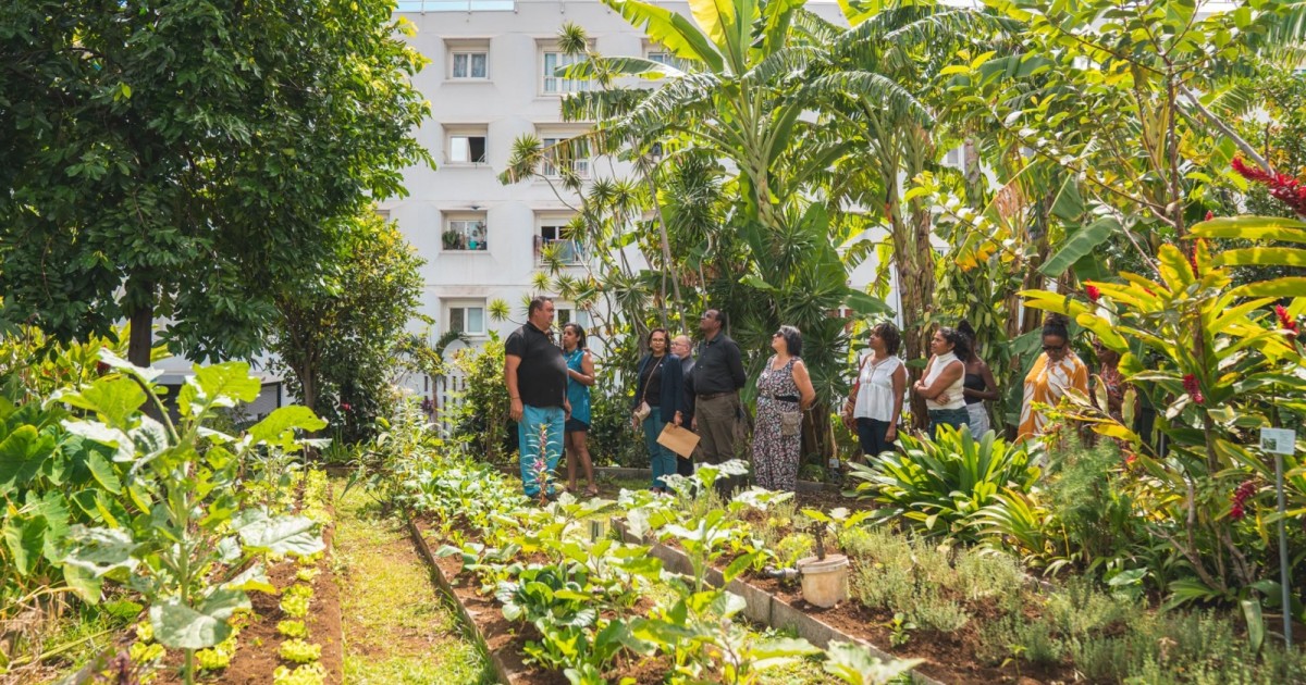 Le Port : le jardin Mont-Fleuri fête ses 10 ans
