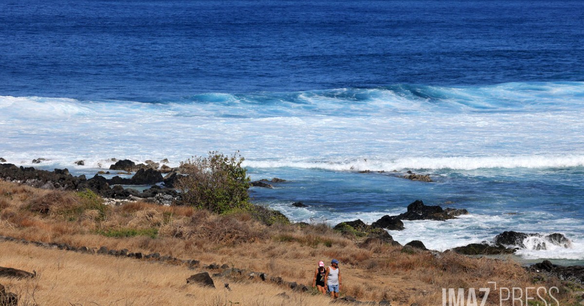Pointe des Trois-Bassins : une journée découverte entre terre et mer