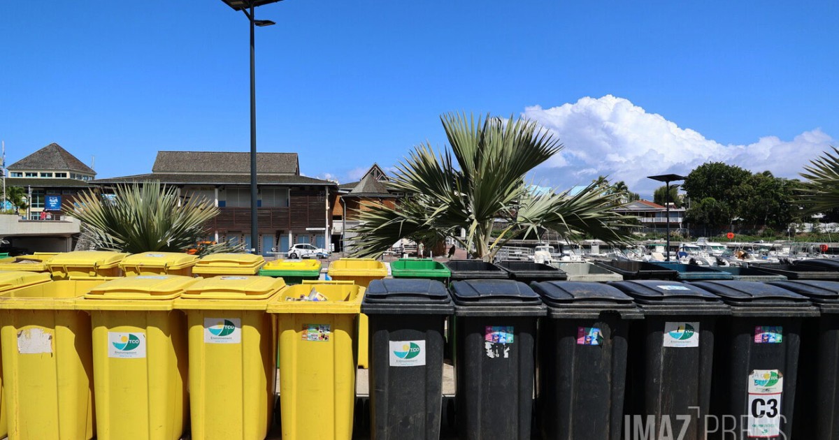 Saint-Paul : un rappel des règles pour ne pas sortir ses poubelles avant le jour de la collecte