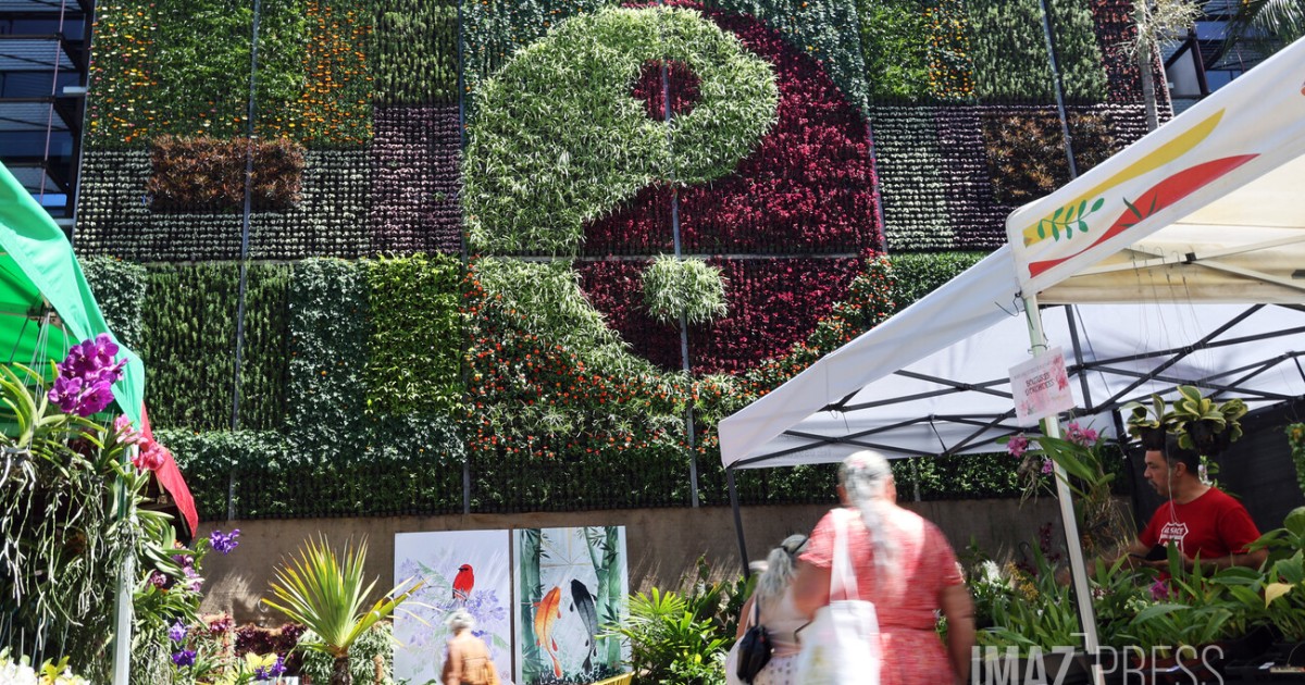 Le Tampon : découvrez les coulisses du mur floral des Florilèges