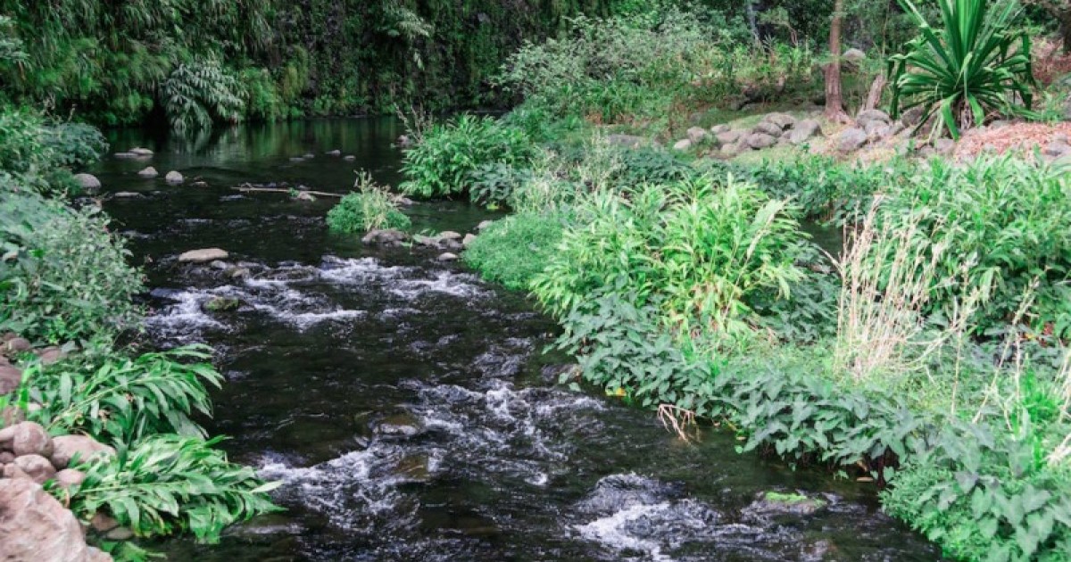 Distribution de l'eau : le réseau de la Rivière fait peau neuve