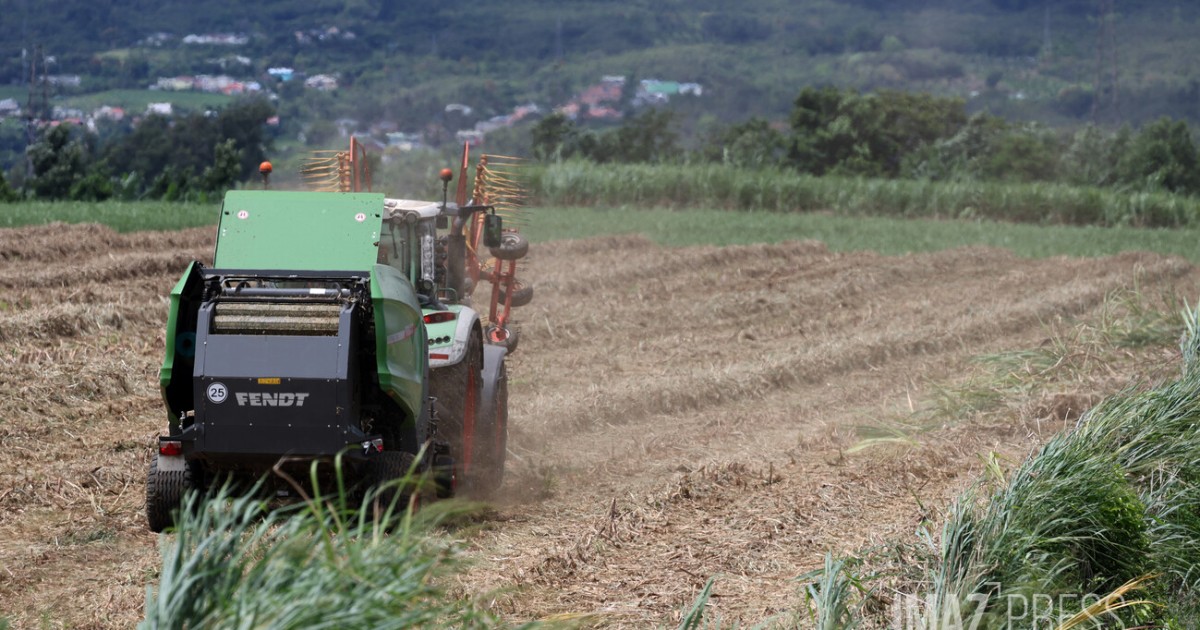 Chambre d’agriculture : Olivier Fontaine appelle le monde agricole à se mobiliser mardi prochain