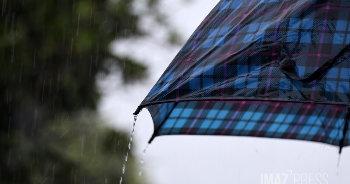 Tampon : les parapluies exceptionnellement autorisés sur le site de Miel Vert