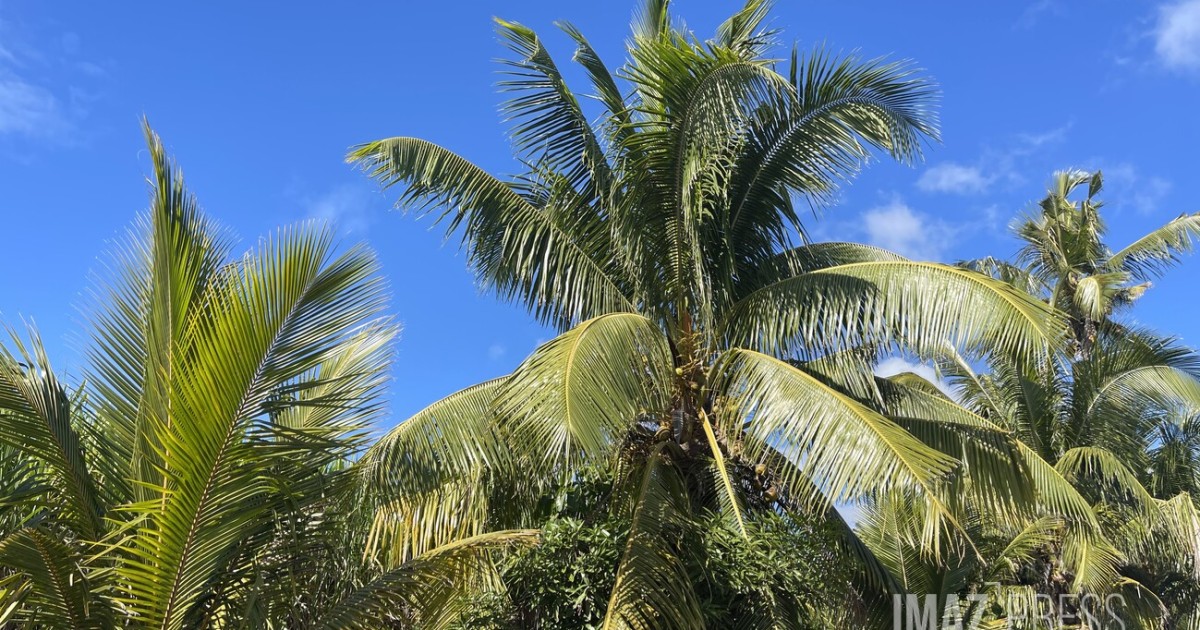 Une Semaine Qui D bute Sous Le Soleil