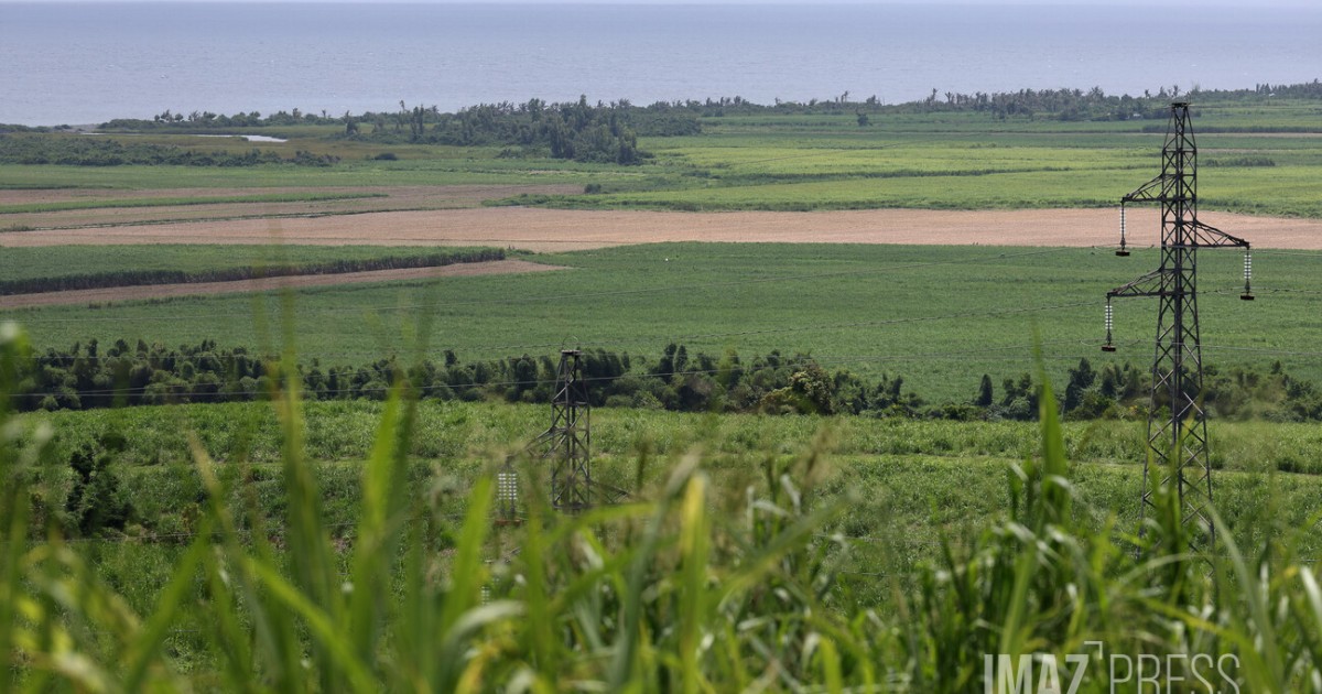 Agriculture : le Département prolonge deux appels à projets jusqu'au 12 octobre