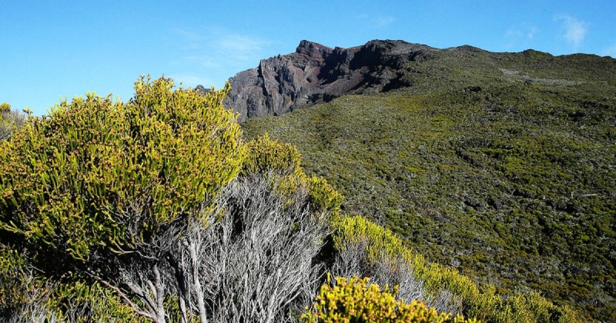 Le tour du Piton des Neiges est le sentier de grande randonnée préféré des français