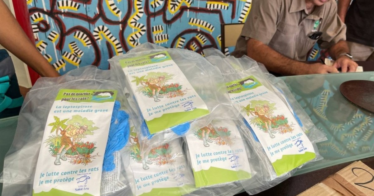 Saint-Pierre : distribution de raticides
