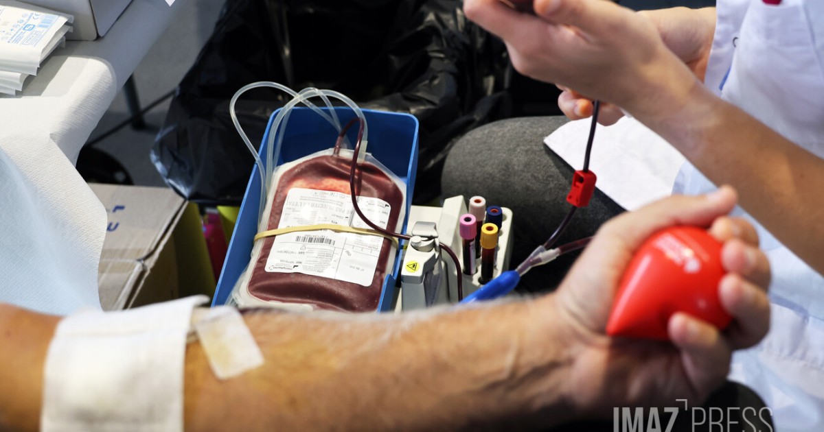 Don du sang : le planning des collectes