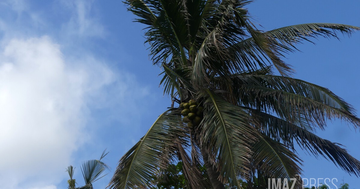 Météo : un air de déjà-vu, entre soleil, nuages et quelques averses
