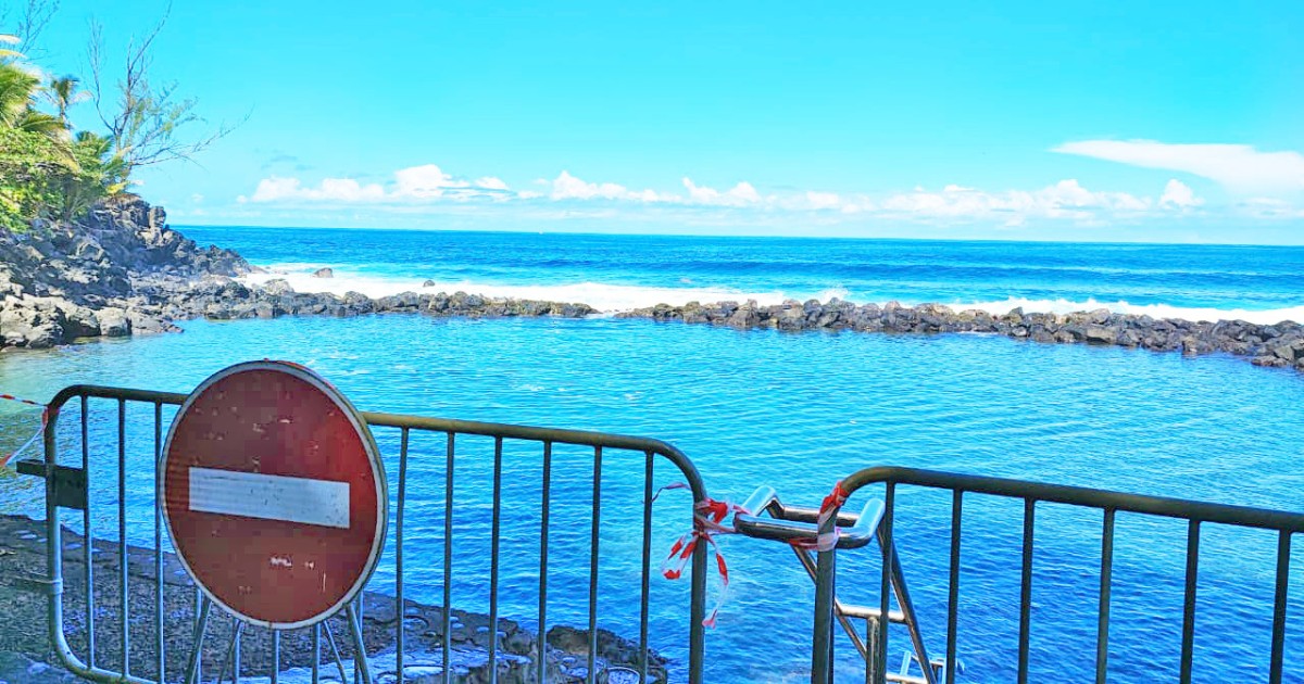 SaintJoseph des poissons désorientés au bassin de Manapany