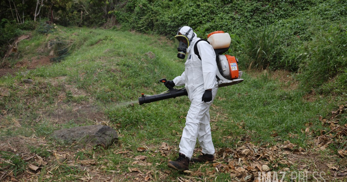 20 Years Ago: Senators Gélita Hoarau & Anne Marie Payet Warned of Chikungunya - News Directory 3