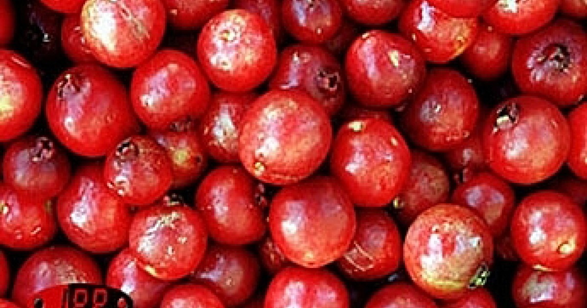 Le fruit rouge en plein essor
