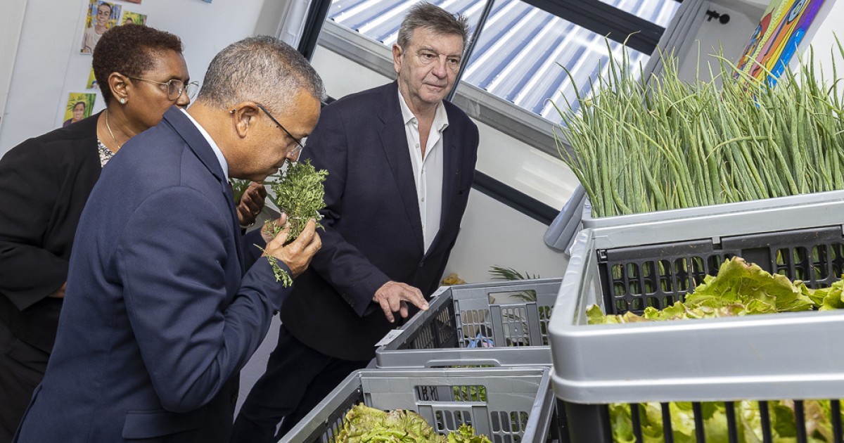 Une nouvelle épicerie solidaire inaugurée à SaintDenis