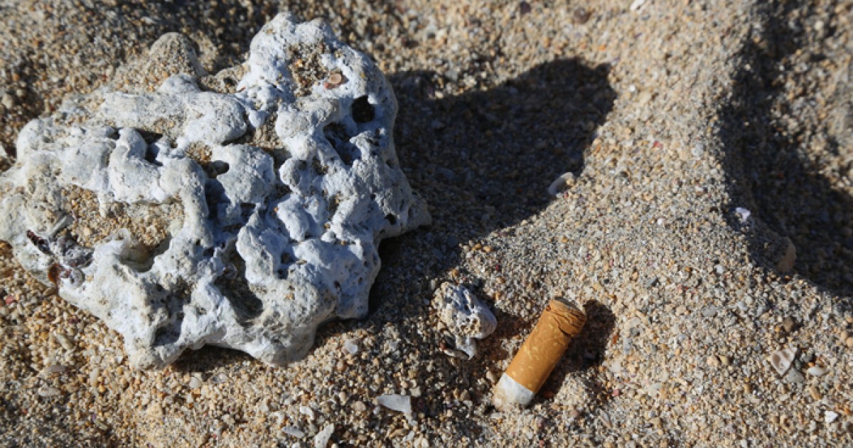 Plus de 27.000 mégots ramassés lors de la première édition de « Clean ...