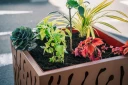 Saint-Denis : 20 nouvelles jardinières installées en centre-ville 