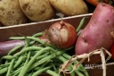 Légumes divers 