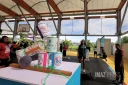 Saint-André : 300 jeunes réunis pour une journée d’animation sportive et de prévention contre les addictions