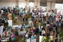 Le Port : le Village de l'Emploi et de l'Insertion, un évènement pour faciliter les démarches d'insertion
