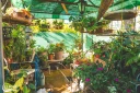 Le Port : Yolaine Lin décroche le 1er prix du concours Jardins et Balcons Fleuris 202