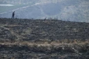 Un homme marche sur ses terres brûlées après un incendie de forêt ayant fait au moins 12 morts, à Alfaix, dans la province d'Almería, le 11 juillet 2026