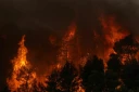 La fumée d’un incendie de forêt s’élevant tandis que les flammes brûlent les arbres et la végétation dans la région de Porto Germeno, le 1er août 2026