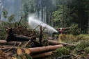 Un pompier asperge le sol d'eau le sol pour l'humidifier lors des opérations visant à contenir un incendie de forêt dans la réserve naturelle des Hautes Fagnes le 20 août 2026