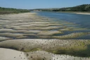 Photo des rives asséchées du Danube à Rasova en Roumanie, le 13 août 2026