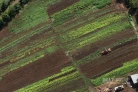 aérienne agriculture