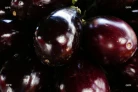 Fruits et légumes