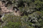 grand raid 2025 