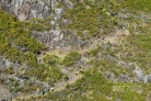 Grand raid 2026