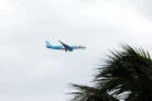 Avion FrenchBee