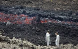 volcan février  2019