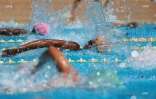 natation 