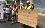 gilets jaunes 