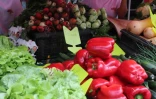Saint-Paul : les agricultrices sont à l'honneur à l'Hermitage