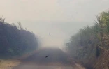 Feu de cannes à Sainte-Suzanne 31 août 2016