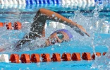 Natation 