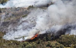 Feu du Maïdo
