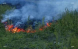 Eruption au Piton de la fournaise
