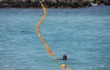 La plage ouverte à la baignade aux Roches Noires