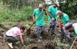 plantation 500 arbres ALEFPA Département