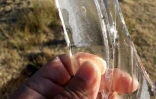 Grand froid et gelées sur La Réunion