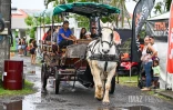 Foire de Bras-Panon