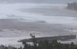 Tempête Haliba