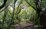 piton d'Anchaing 